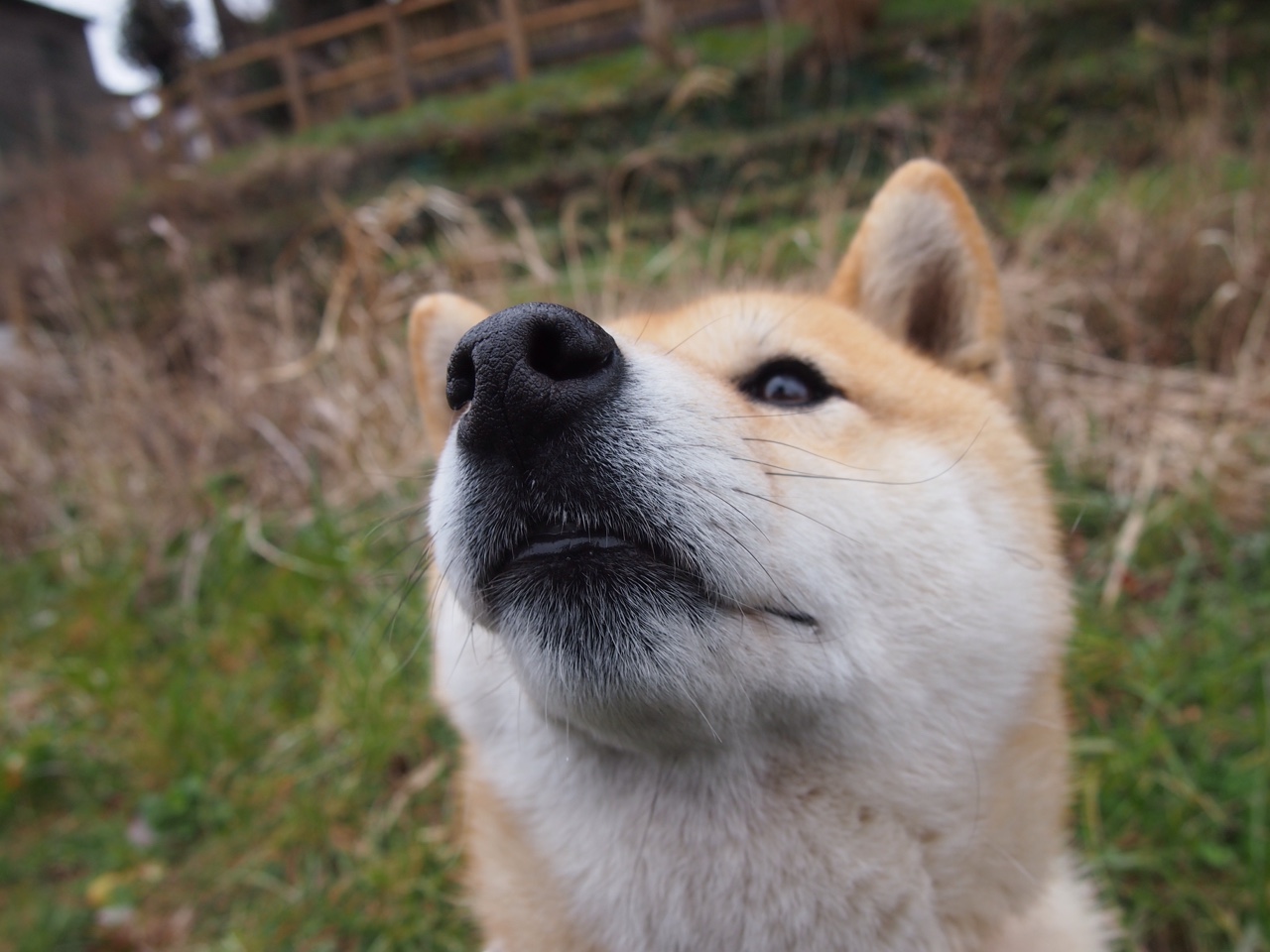 当亚洲冠军遇上欧洲鱼腩,一场3-1背后,马丁内利如何成为改写剧本的关键先生?